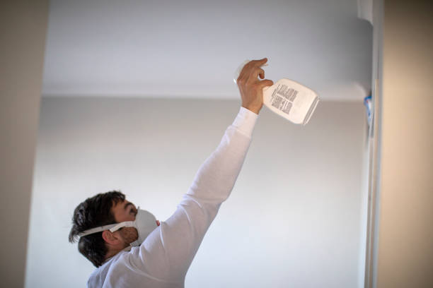 Best Mold Removal Company Near Me  in East Highland Park, VA