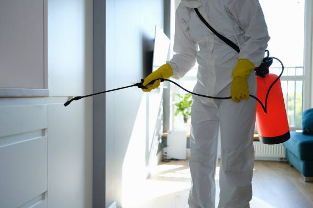 Best Certified Mold Removal  in East Highland Park, VA